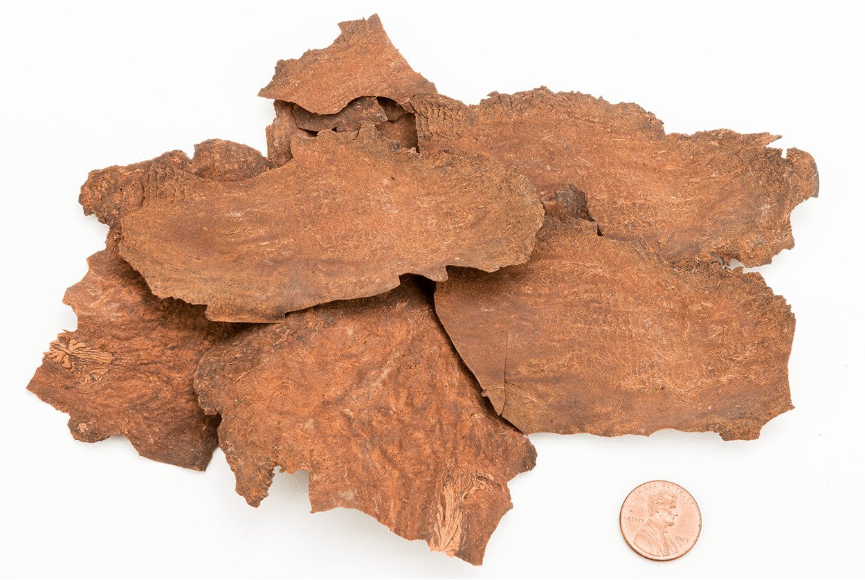 Dragon Herbs He Shou Wu 100 Capsules - JING Organics