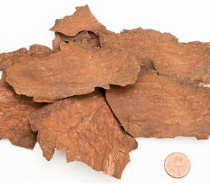 Dragon Herbs He Shou Wu Drops 60ml - JING Organics