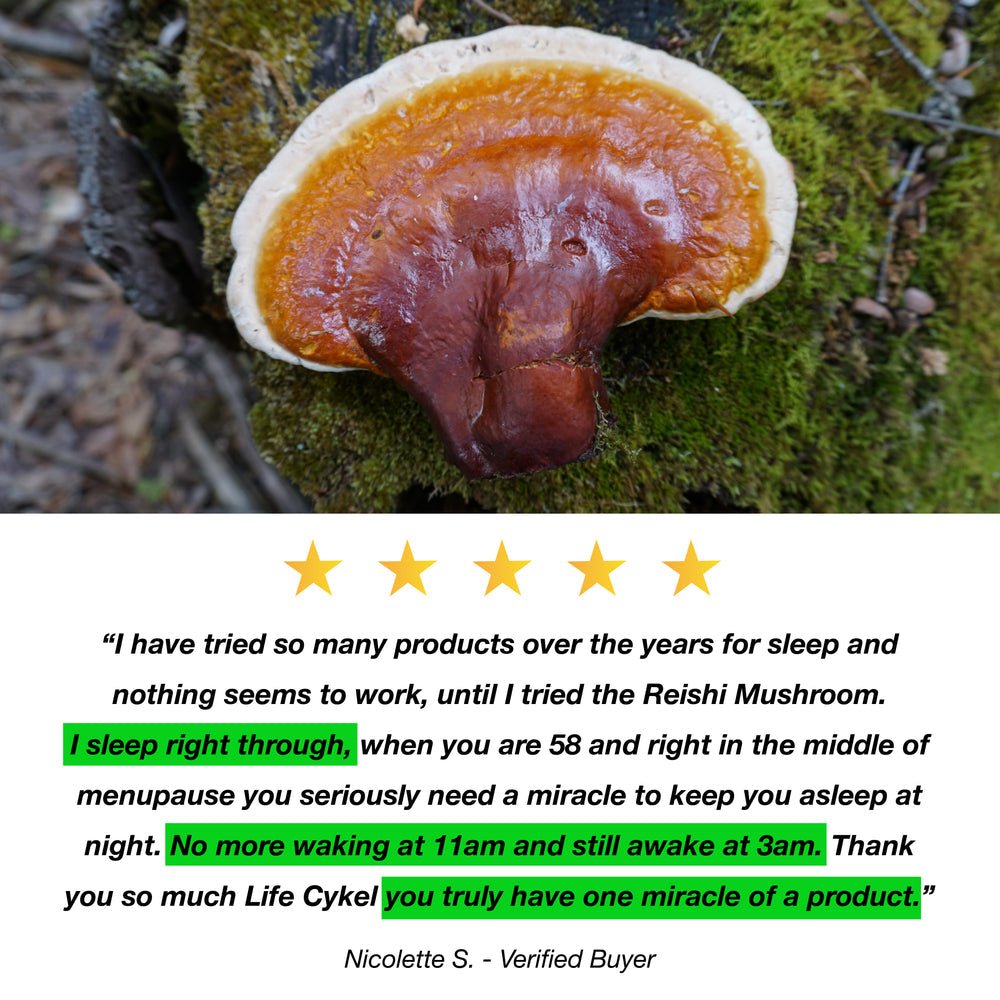 Life Cykel Reishi Extract 120ml - JING Organics