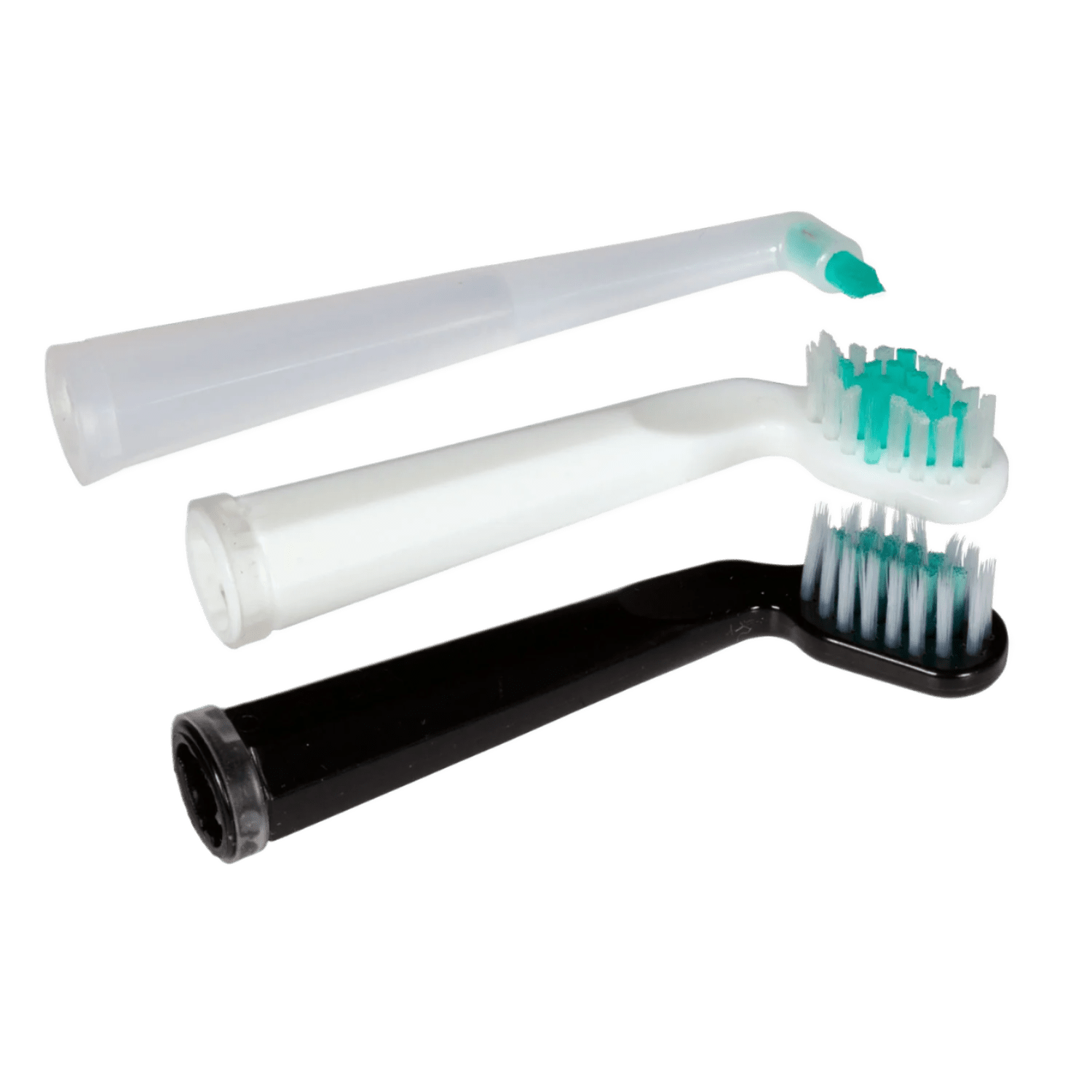 Living Libations Sonic Shine Toothbrush Replacement Heads 3 Pack - JING Organics