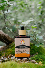 Touchwood Mushrooms Organic Cordyceps 100ml - JING Organics