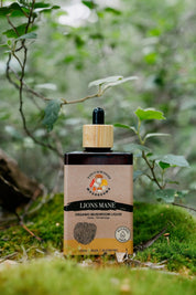 Touchwood Mushrooms Organic Lion's Mane 100ml - JING Organics
