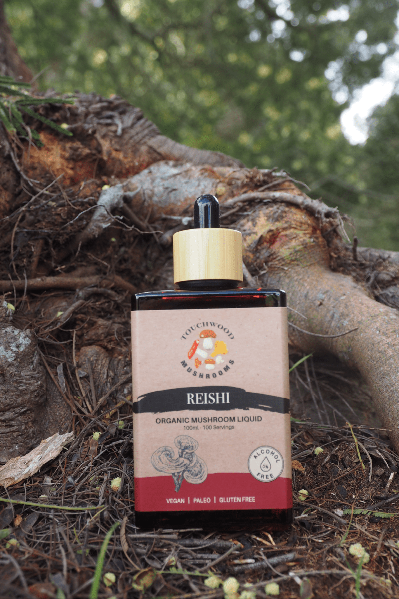 Touchwood Mushrooms Organic Reishi 100ml - JING Organics