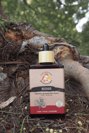 Touchwood Mushrooms Organic Reishi 100ml - JING Organics
