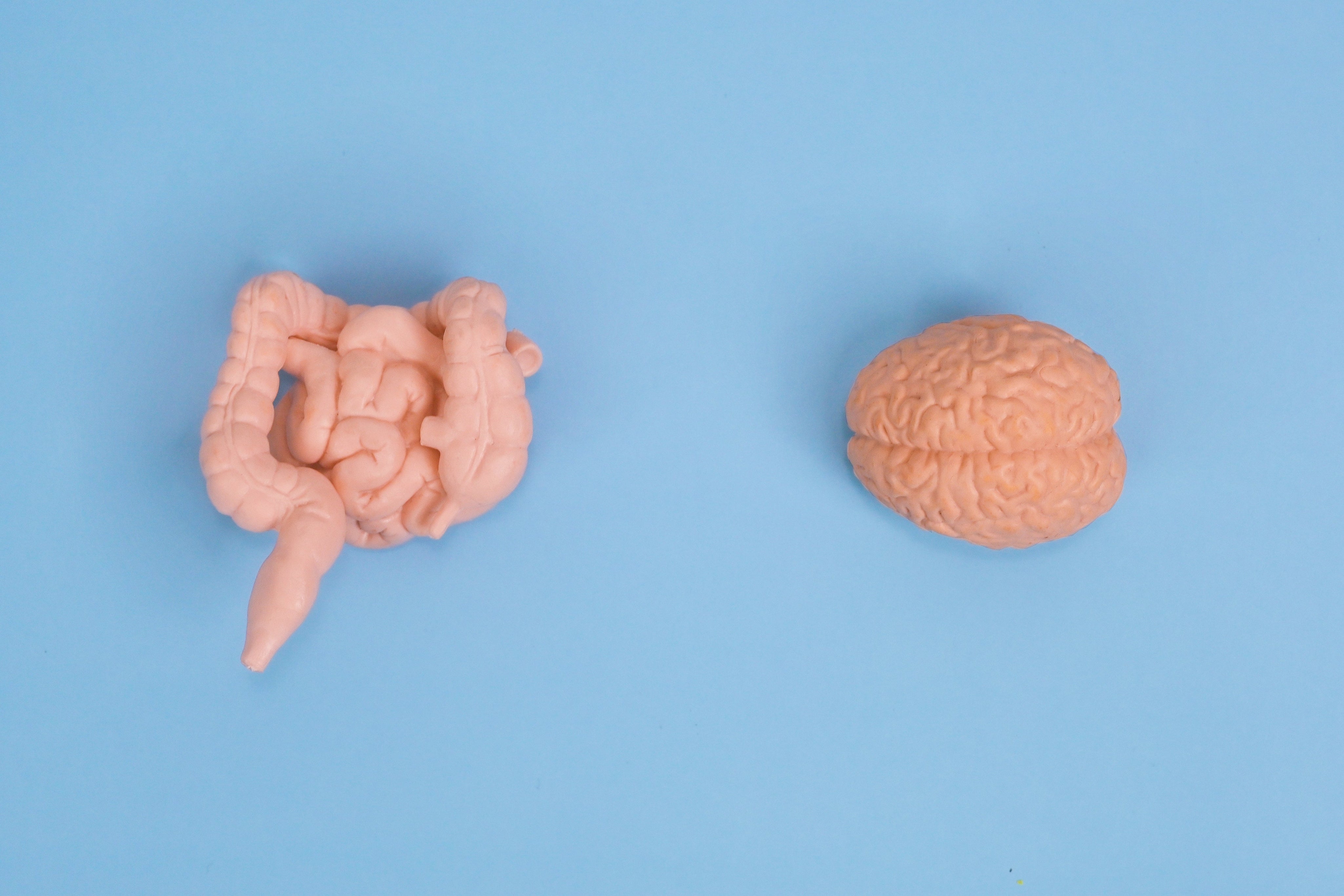 The Link Between Gut Health and Depression: How Your Gut Can Affect Your Mood - JING Organics