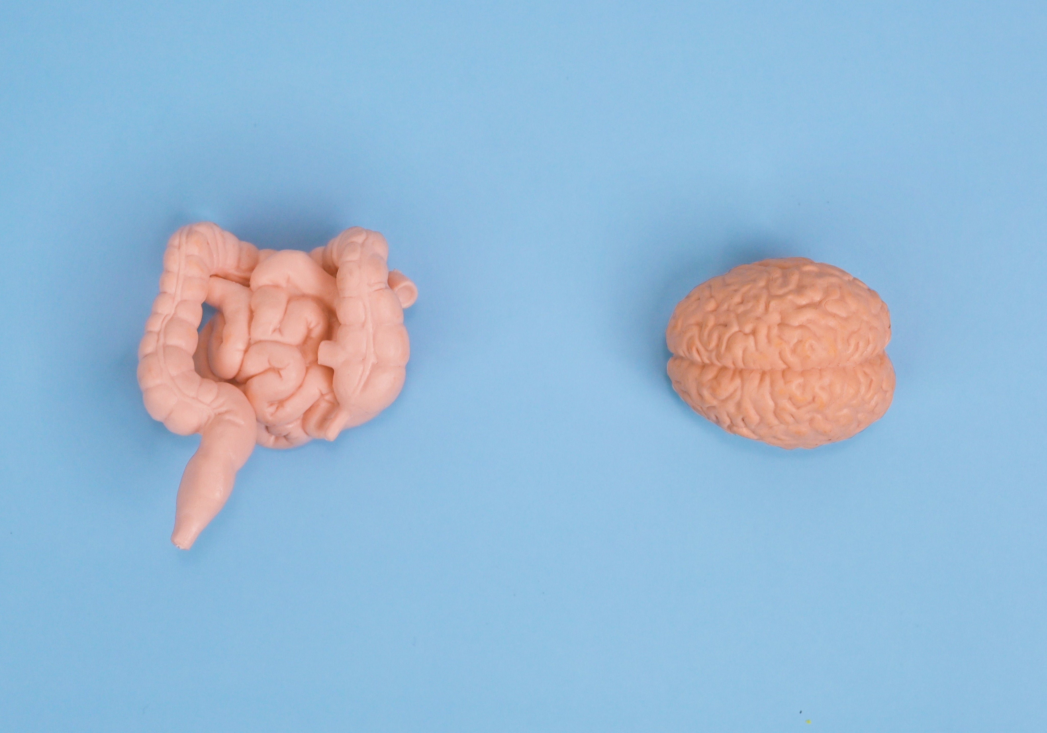 The Link Between Gut Health and Depression: How Your Gut Can Affect Your Mood - JING Organics