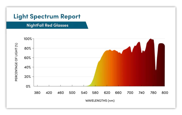 Block Blue Light Nightfall Taylor Glasses Black