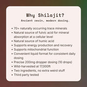 Blue Tung Liquid Himalayan Shilajit 30mL