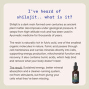 Blue Tung Liquid Himalayan Shilajit 30mL