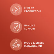 Dr. Mercola Ashwagandha 60 Capsules