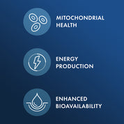 Dr. Mercola Berberine and MicroPQQ Advanced 30 Capsules