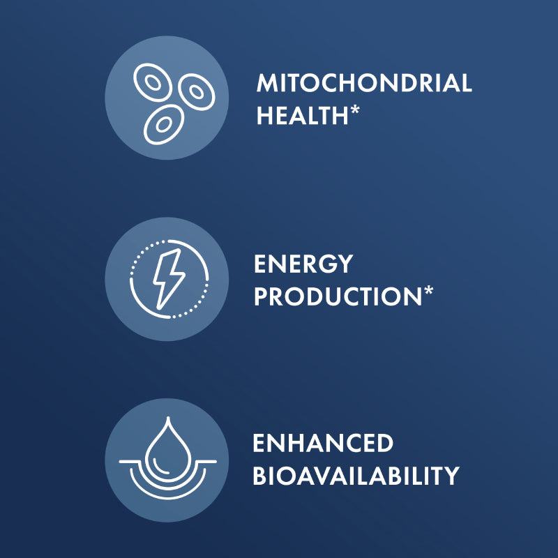 Dr. Mercola Berberine and MicroPQQ 90 Capsules