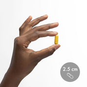 Dr. Mercola Berberine and MicroPQQ 90 Capsules