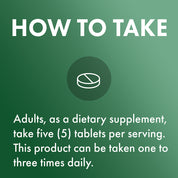 Dr. Mercola Fermented Chlorella 450 Tablets