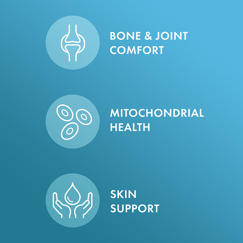 Dr. Mercola Joint Formula 30 Tablets