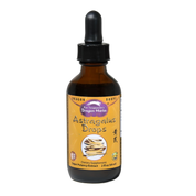 Dragon Herbs Astragalus Drops 60ml