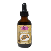 Dragon Herbs Eucommia Bark Drops 60ml