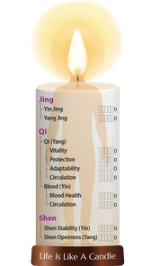 Dragon Herbs Golden Voice 100 Capsules