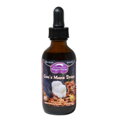 Dragon Herbs Lion's Mane Drops 60ml