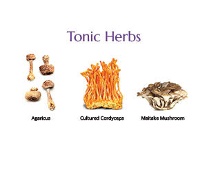 Dragon Herbs Tonic Alchemy 30 Packettes