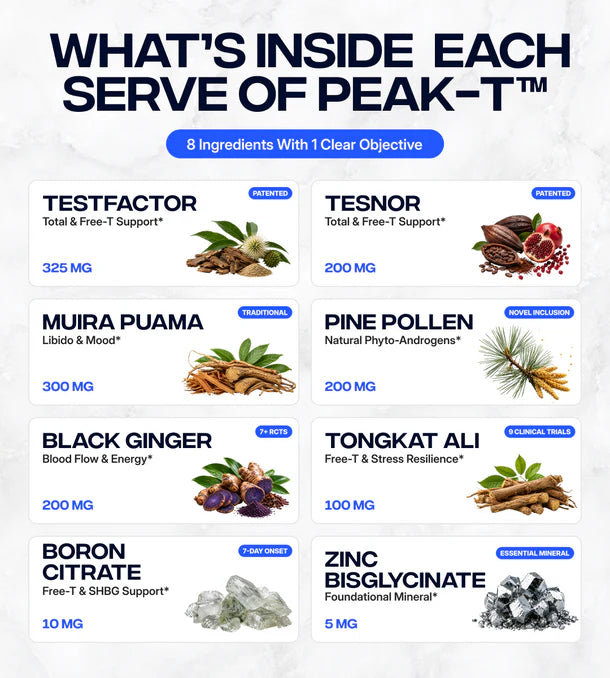 INB4 PEAK-T Testosterone Support 90 Capsules