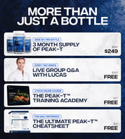 INB4 PEAK-T Testosterone Support 90 Capsules