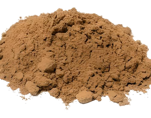 Cordyceps Tarro 100g