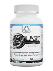 LVLUP Health Shilajit 60 Capsules