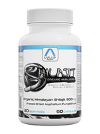 LVLUP Health Shilajit 60 Capsules