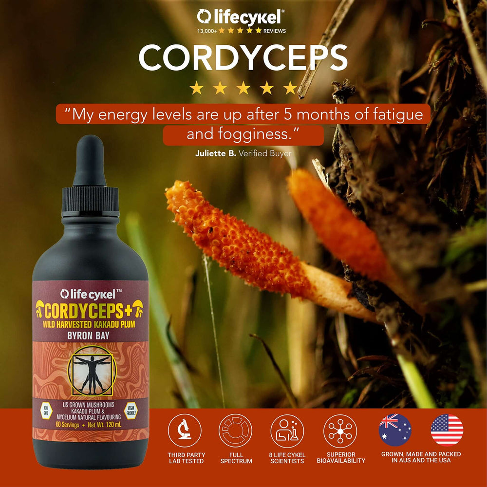 Life Cykel Cordyceps Extract 120ml