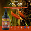 Life Cykel Cordyceps Extract 60ml