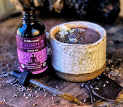 Life Cykel Reishi Extract 120ml