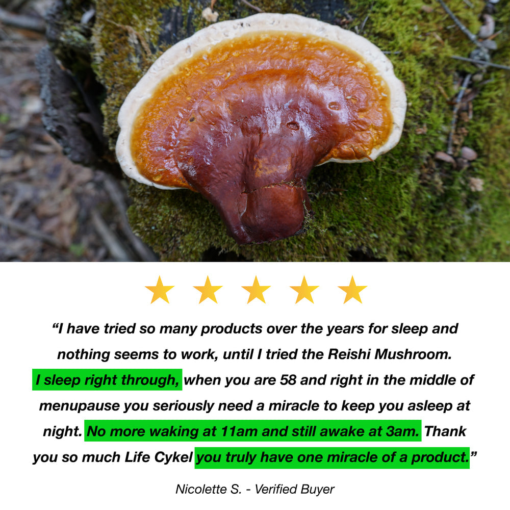 Life Cykel Reishi Extract 120ml