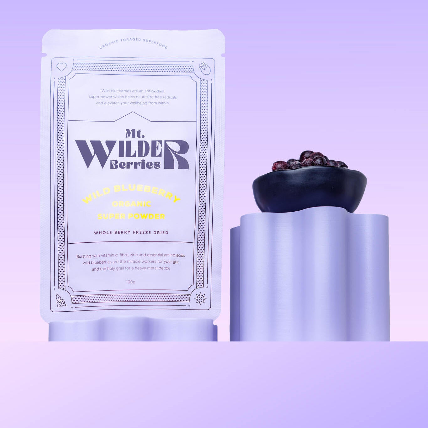 Mt.-Wilder-Organic-Wild-Blueberry-Powder-1.jpg