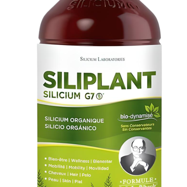 Silicium-G7-Siliplant.png
