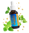 Solutions 4 Health Oil of Wild Oregano 50ml