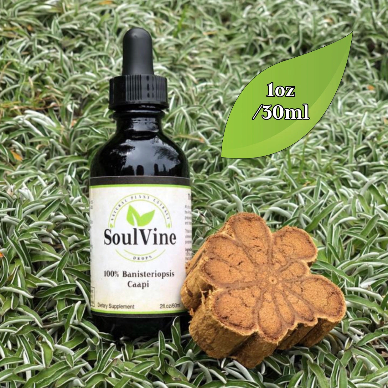 Soul-Vine-Banisteriopsis-Caapi-30ml-2.jpg