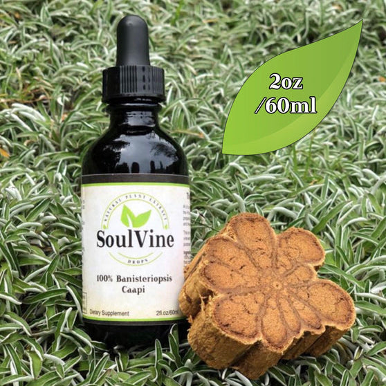 Soul-Vine-Banisteriopsis-Caapi-60ml-1.jpg