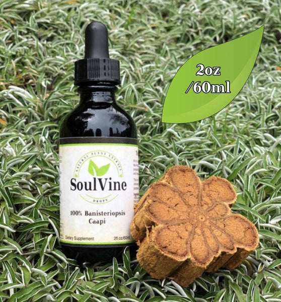 Soul Vine Banisteriopsis Caapi 60ml