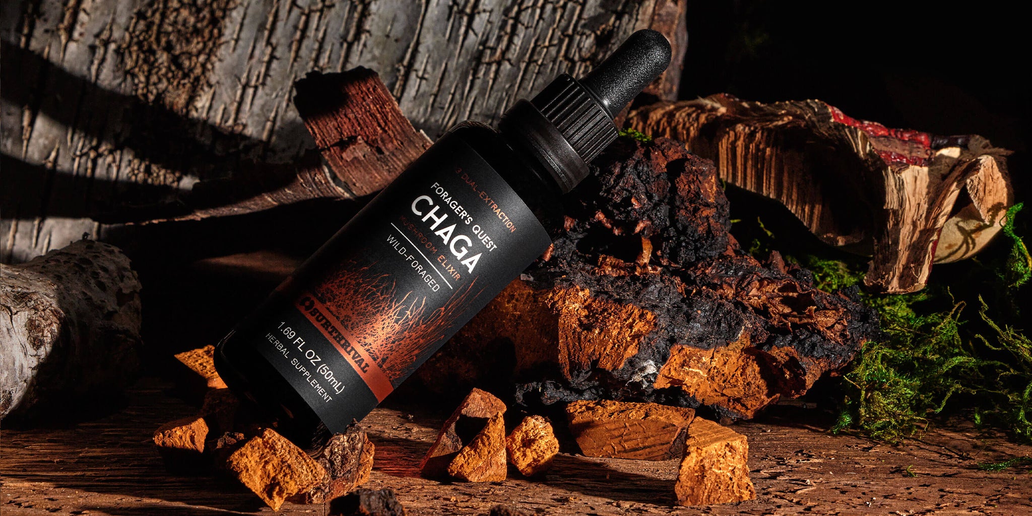 Surthrival Foragers Quest Chaga 50ml