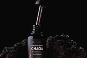 Surthrival Foragers Quest Chaga 50ml