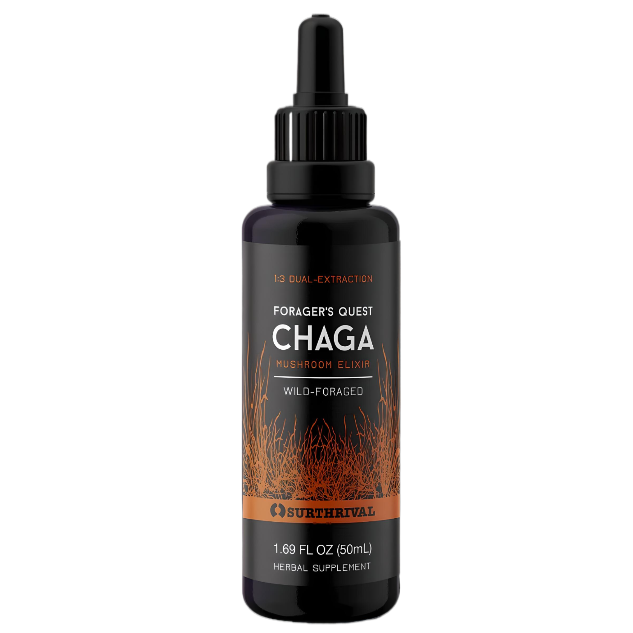 Surthrival-Foragers-Quest-Chaga.png