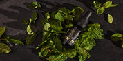 Surthrival D3+K2 Daylight Concentrate 15ml