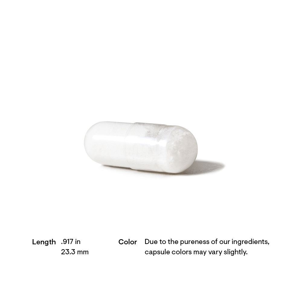 Thorne-Acetyl-L-Carnitine-60-Capsules-2.jpg
