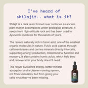 Blue Tung Liquid Himalayan Shilajit 30mL - JING