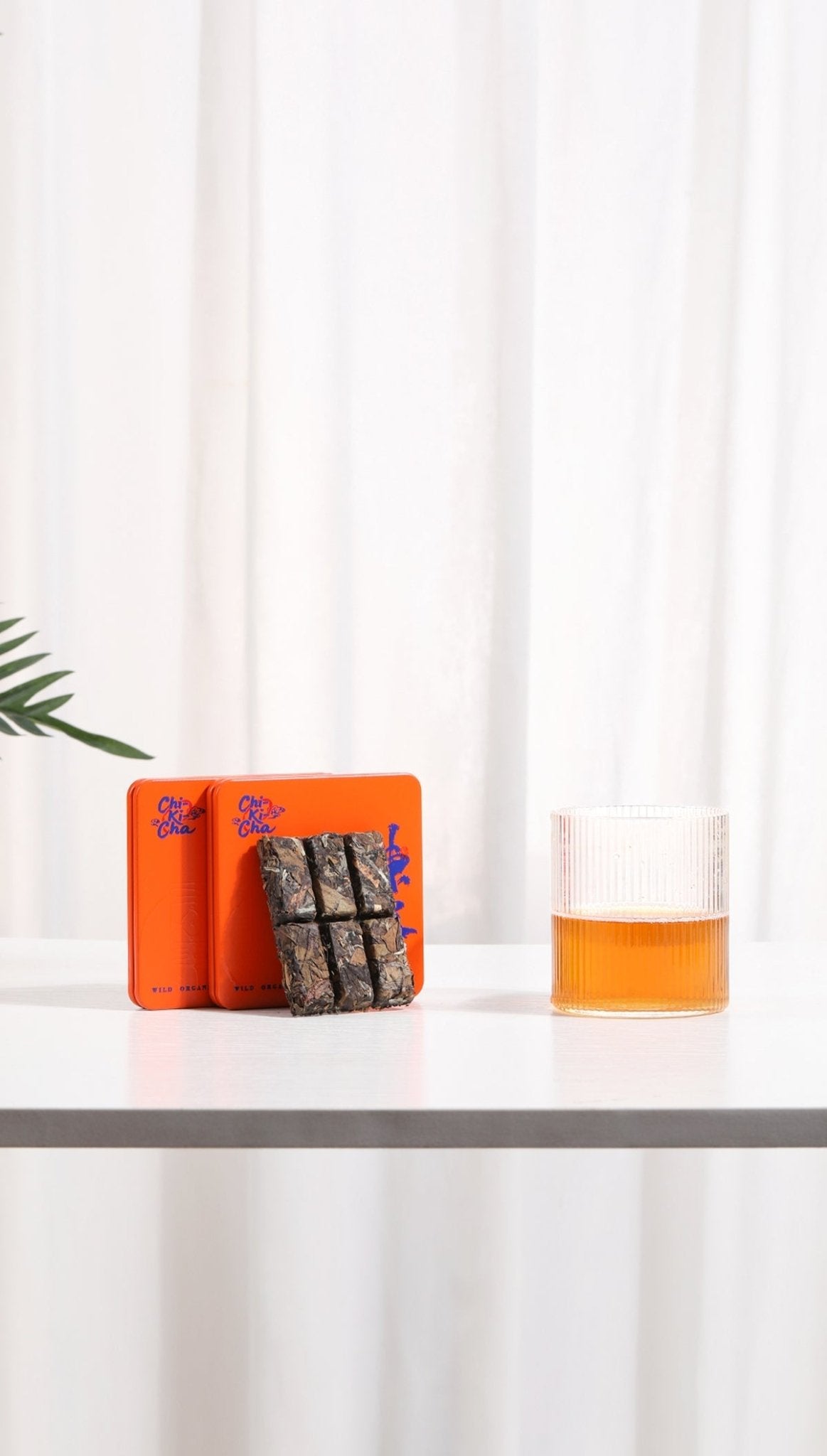 CHI - KI - CHA Chen Pi White Tea 30g - JING Organics