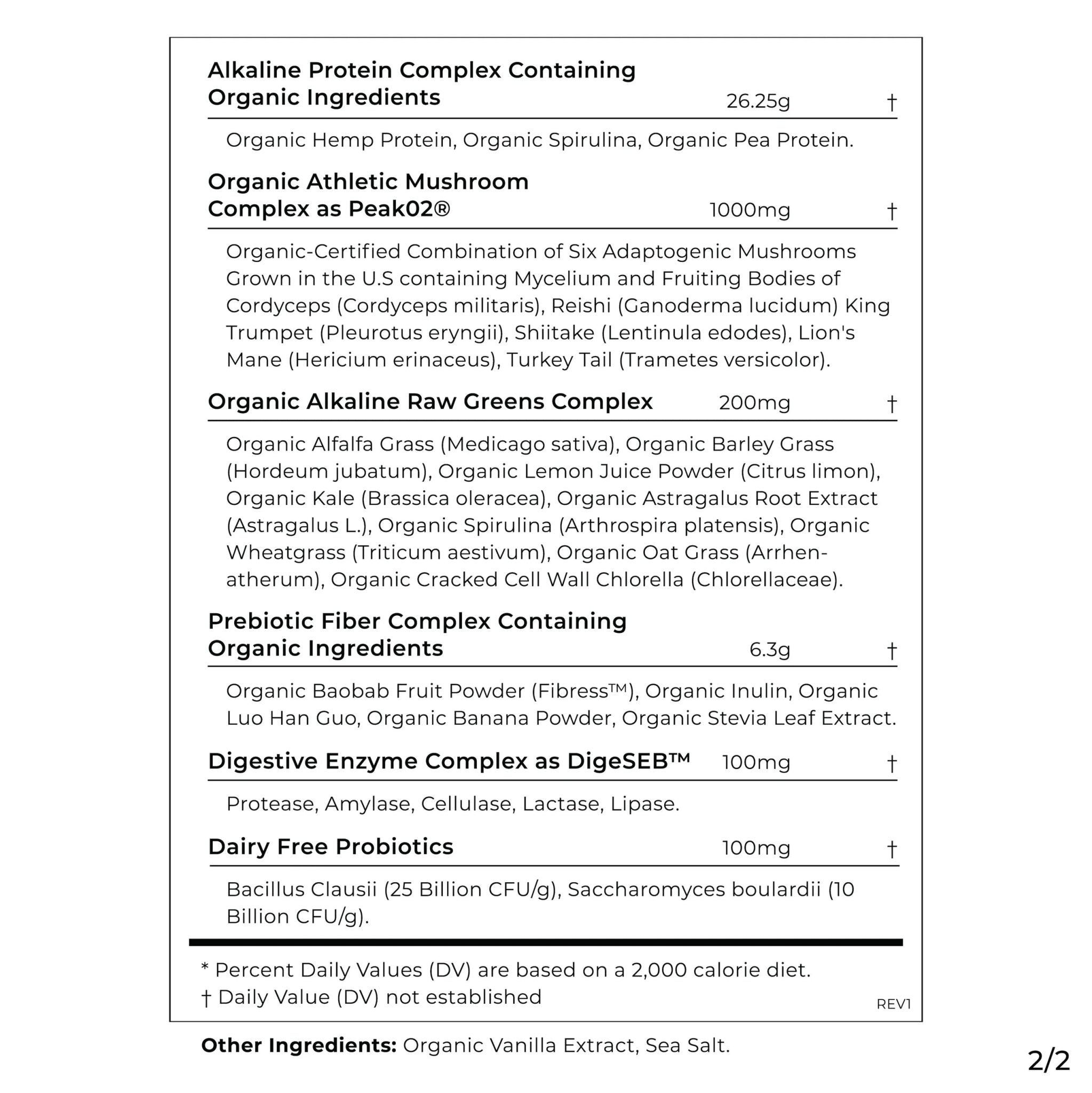 Cymbiotika Plant Protein 848g - JING Organics