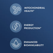 Dr. Mercola Berberine and MicroPQQ 90 Capsules - JING Organics