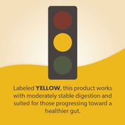 Dr. Mercola Complete Probiotics Cherry 30 Gummies - JING Organics