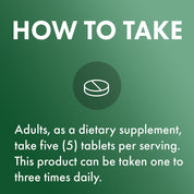 Dr. Mercola Fermented Chlorella 450 Tablets - JING Organics